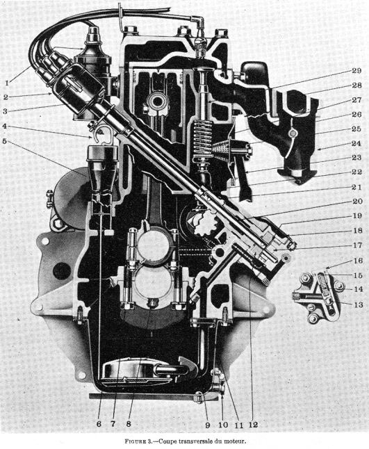 Coupe transversale